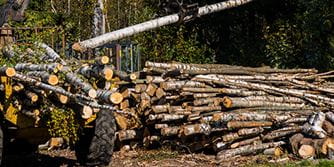 Skogsdrift er krevende arbeid. Leasing av hogstmaskiner og lastbærere kan gjøre driften enklere,