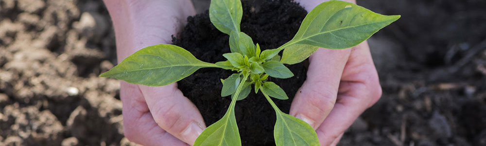 Vi verner om våre verdier og vårt løfte